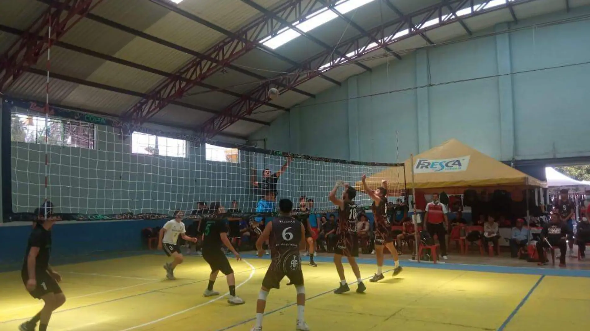 Voleibol 